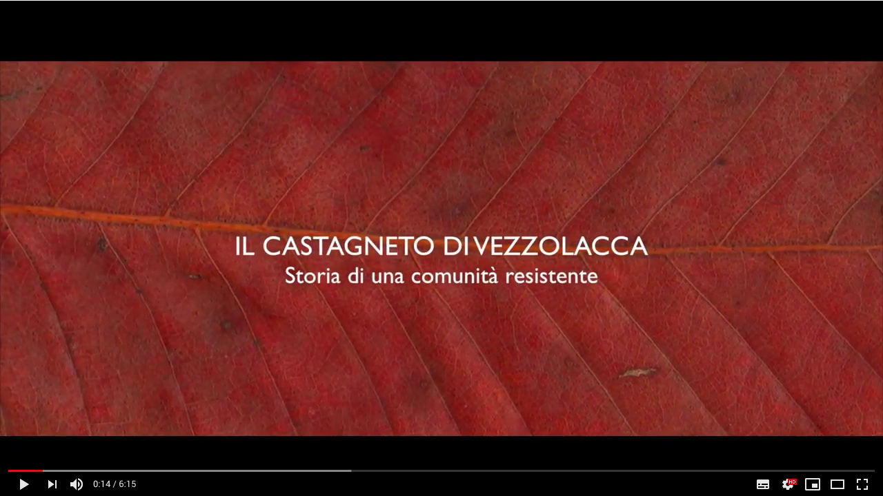 Il Castagneto di Vezzolacca... Storia di una comunit&agrave; resistente